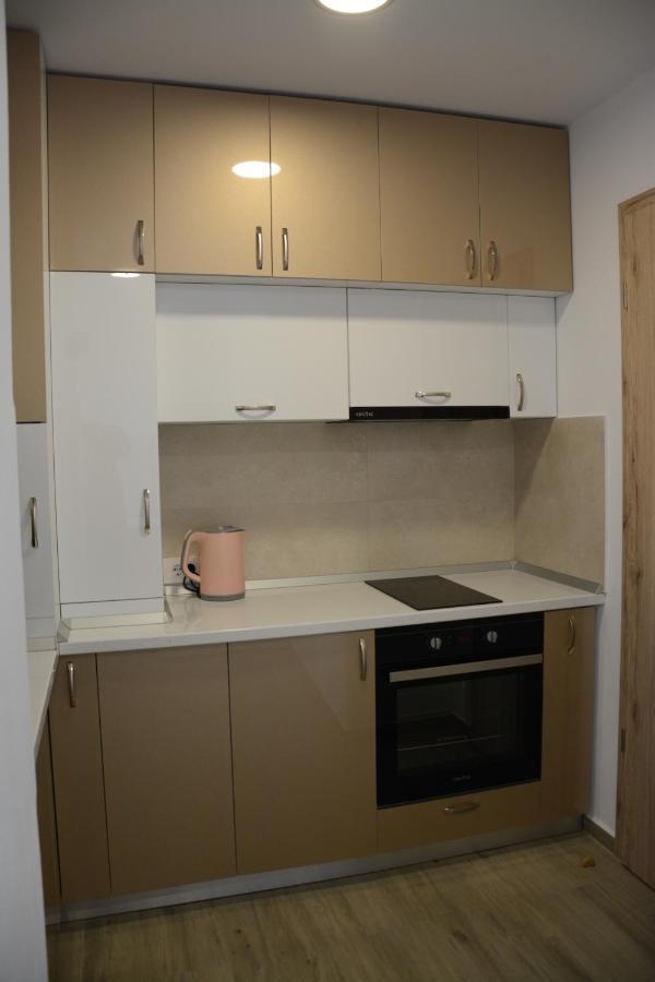 Luxury Panorama Apartament,Coresi Braşov Extérieur photo